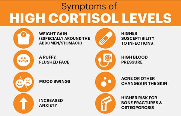 cortisol