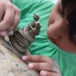 Clay Modeling for Kids