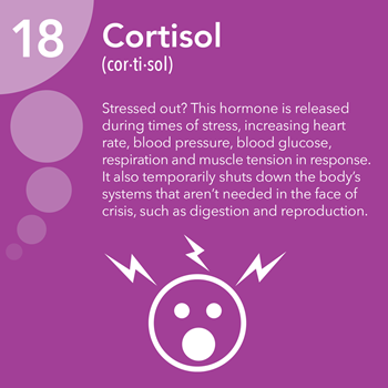 Cortisol